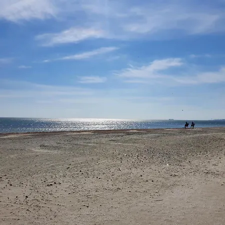 50m De Promenada * Navodari