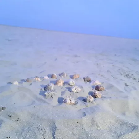 50m De Promenada